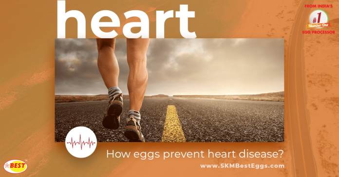 Eggs Prevent Heart Disease