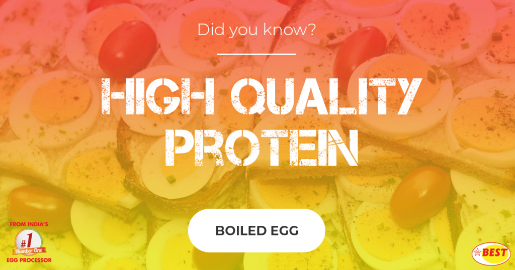 How much Protein is in a Boiled Egg? SKM Best Eggs
