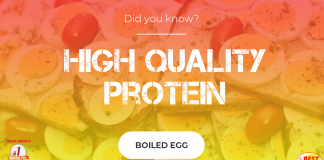 Protein in a boiled egg