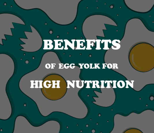 Benefits of egg yolk for high nutrition